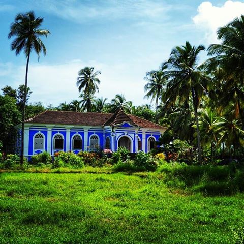 Portuguese house and green fields in Goa during monsoon season