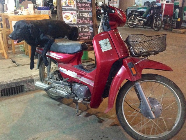Motorike in Pai. Photo credit Flickr