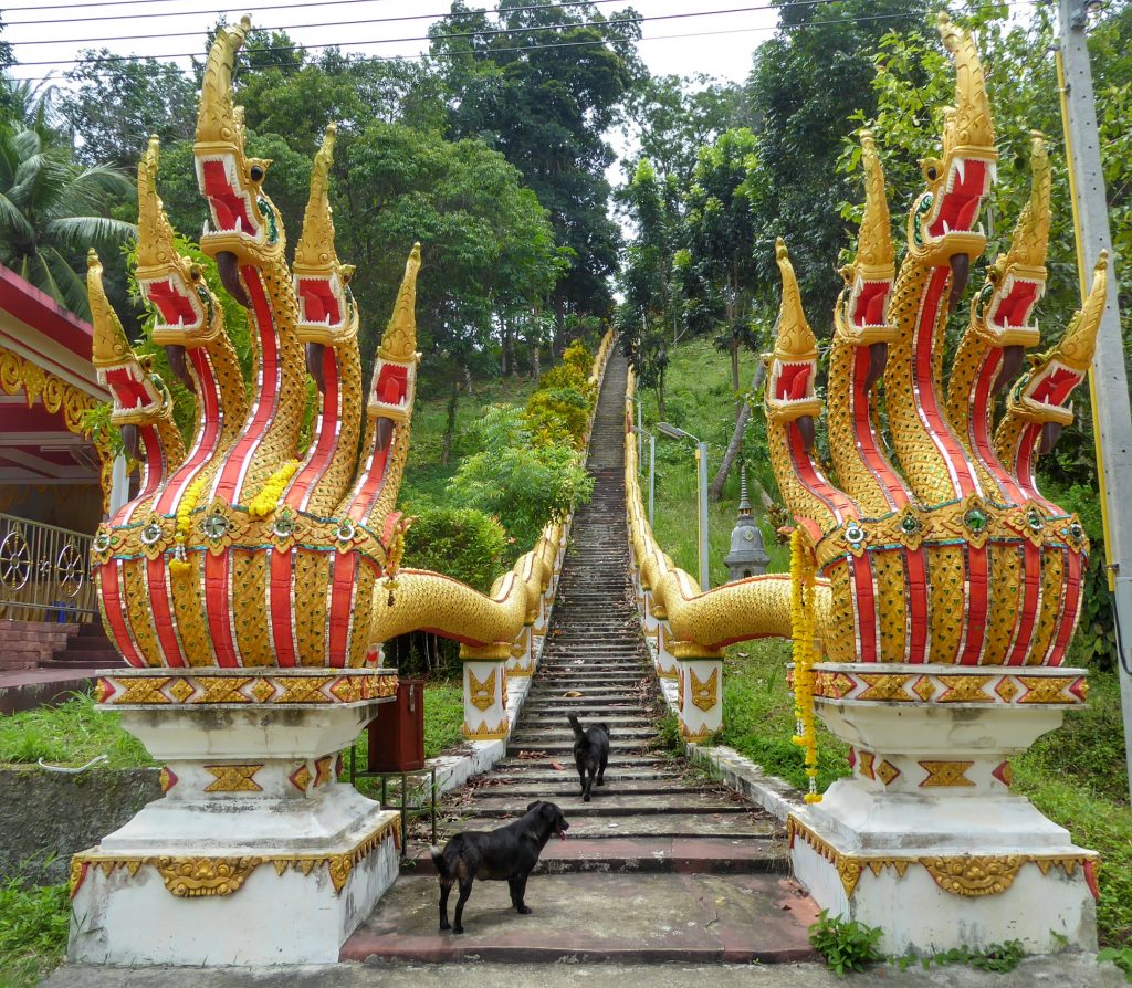 Wat Maduea Wan.
