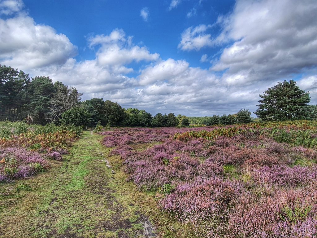 knettishall heath, suffolk