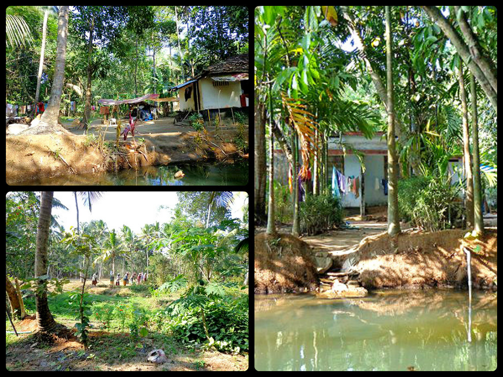 kerala backwaters life collage 2