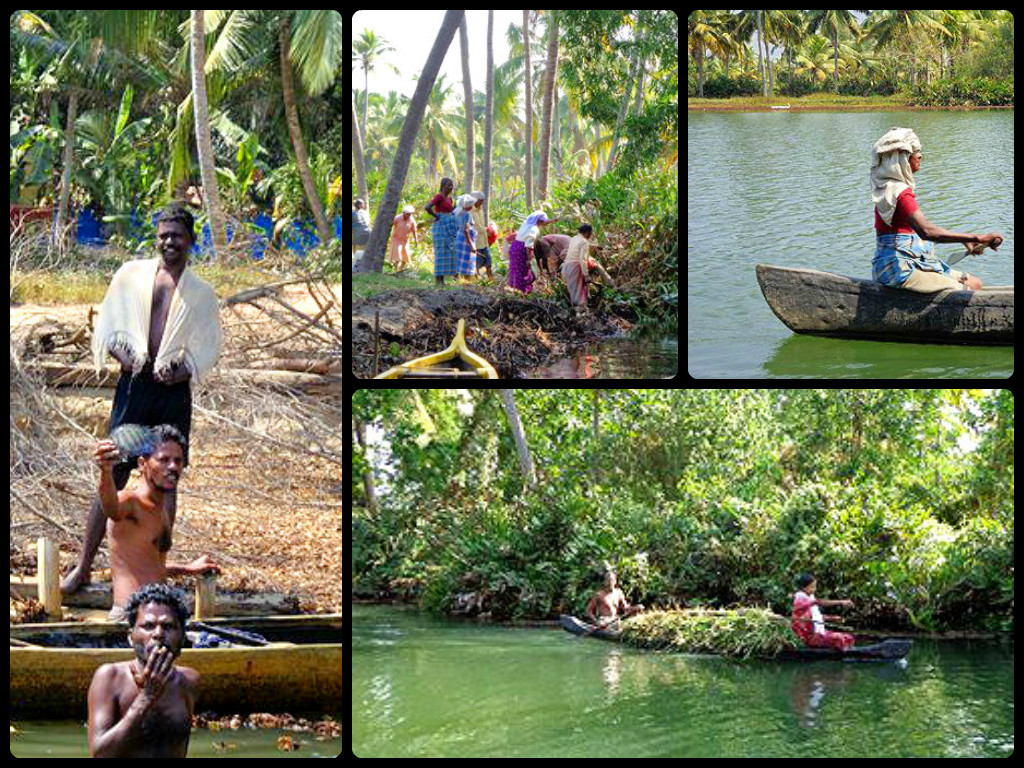 life and people on the kerala backwaters collage