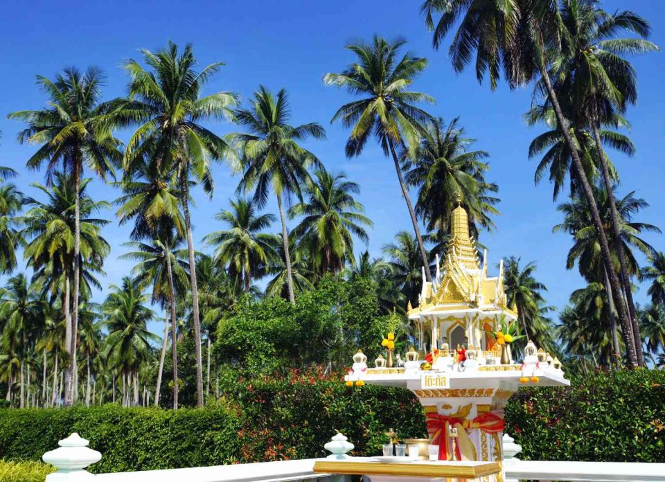 shrine in thailand with palm trees