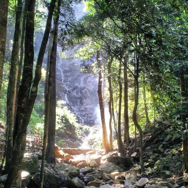 naturally langkawi waterfall and jungle