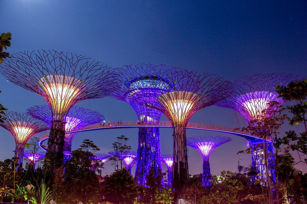 singapore Gardens By The Bay - Supertree Grove and OCBC Skyway