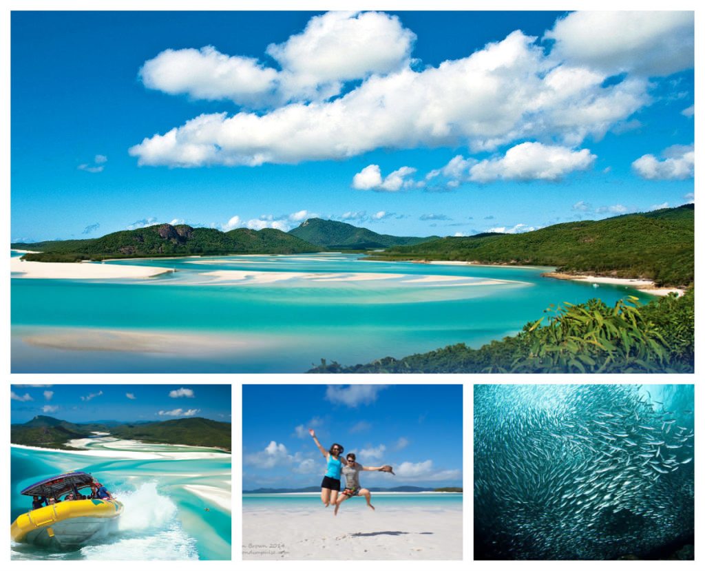whitsundays collage highlights from a year in australia 