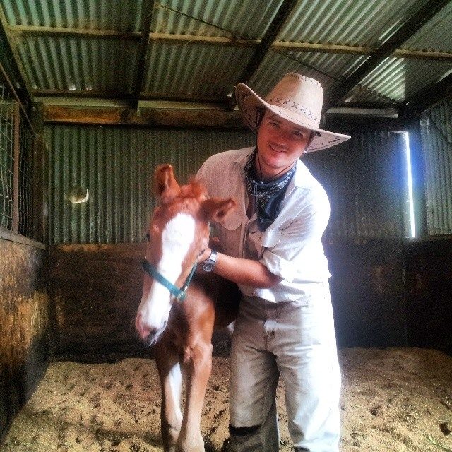 australian farm work wwoofing foal