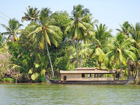 backwater boat