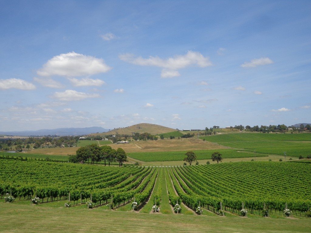 yarra valley vineyards