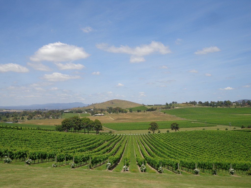 yarra valley vineyards