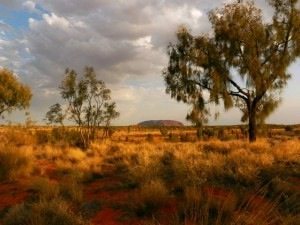 travel to uluru budget