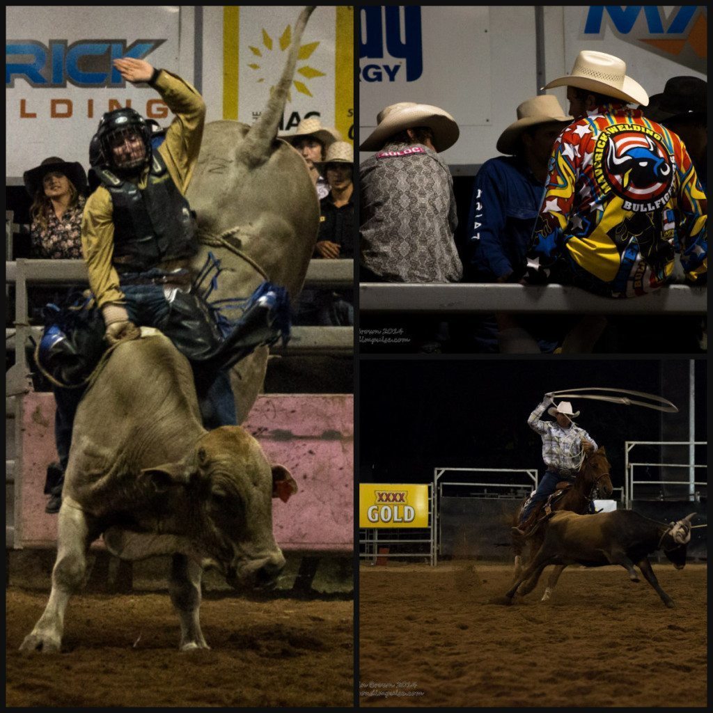 rodeo collage
