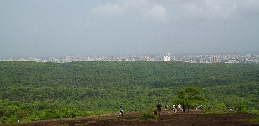 things to do in mumbai Sanjay Gandhi National Park 