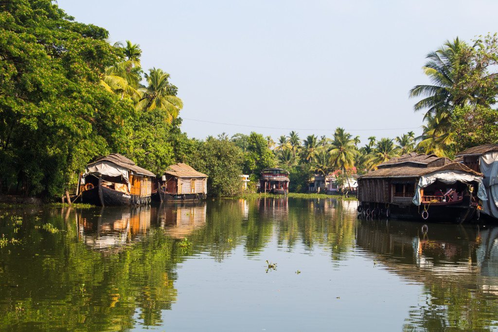 Houseboats on the Kerala Backwaters