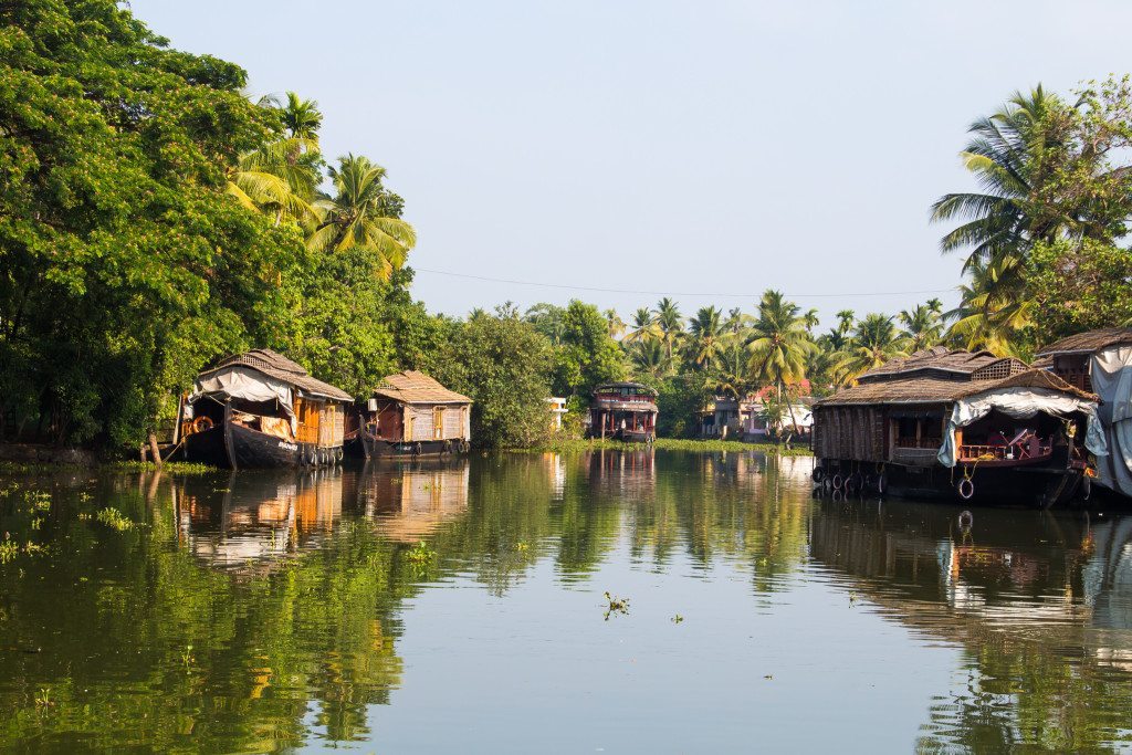 Houseboats on the Kerala Backwaters