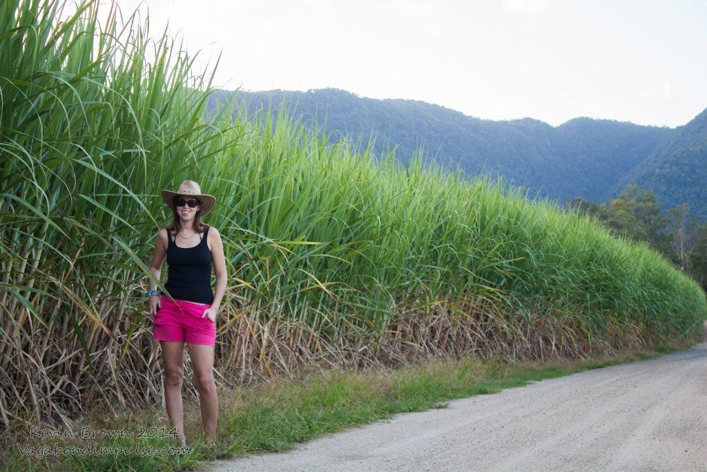 Couldn't find the picture on the paper so here's one of me in the sugar cane fields of Queensland