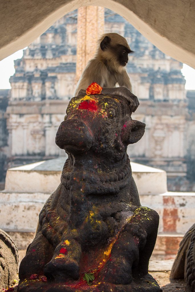 Nandi and monkey Virupaksha Temple