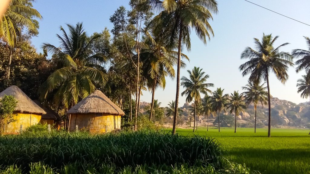 Cute huts in Hampi, India for only $8 a night.