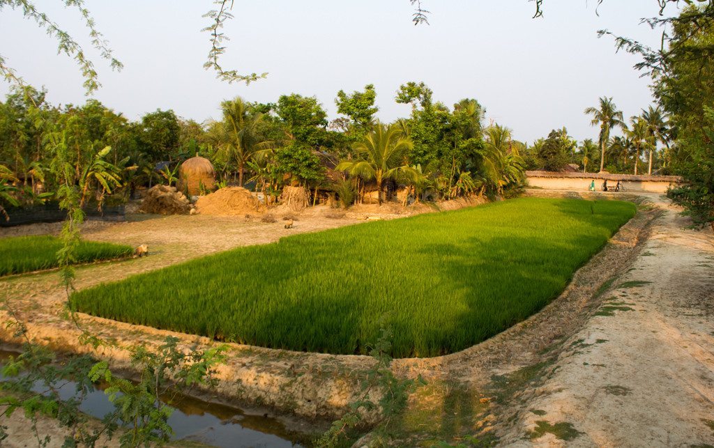 How refreshing it was to be surrounded by idyllic rural scenes like this