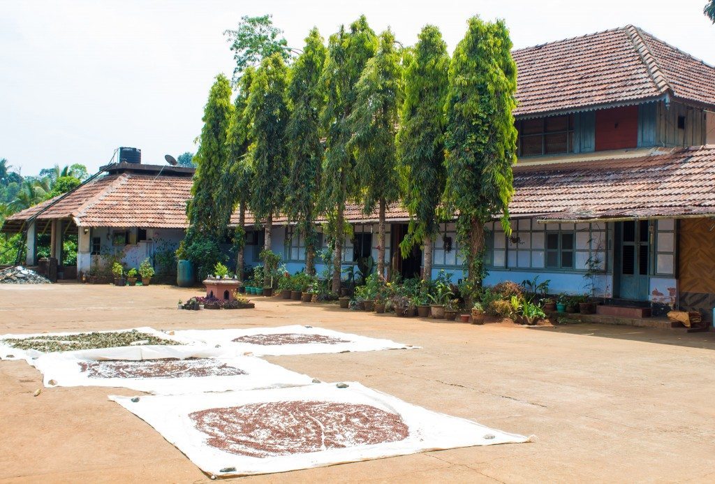 The ancestral home in the plantation at Pranavam Homestay