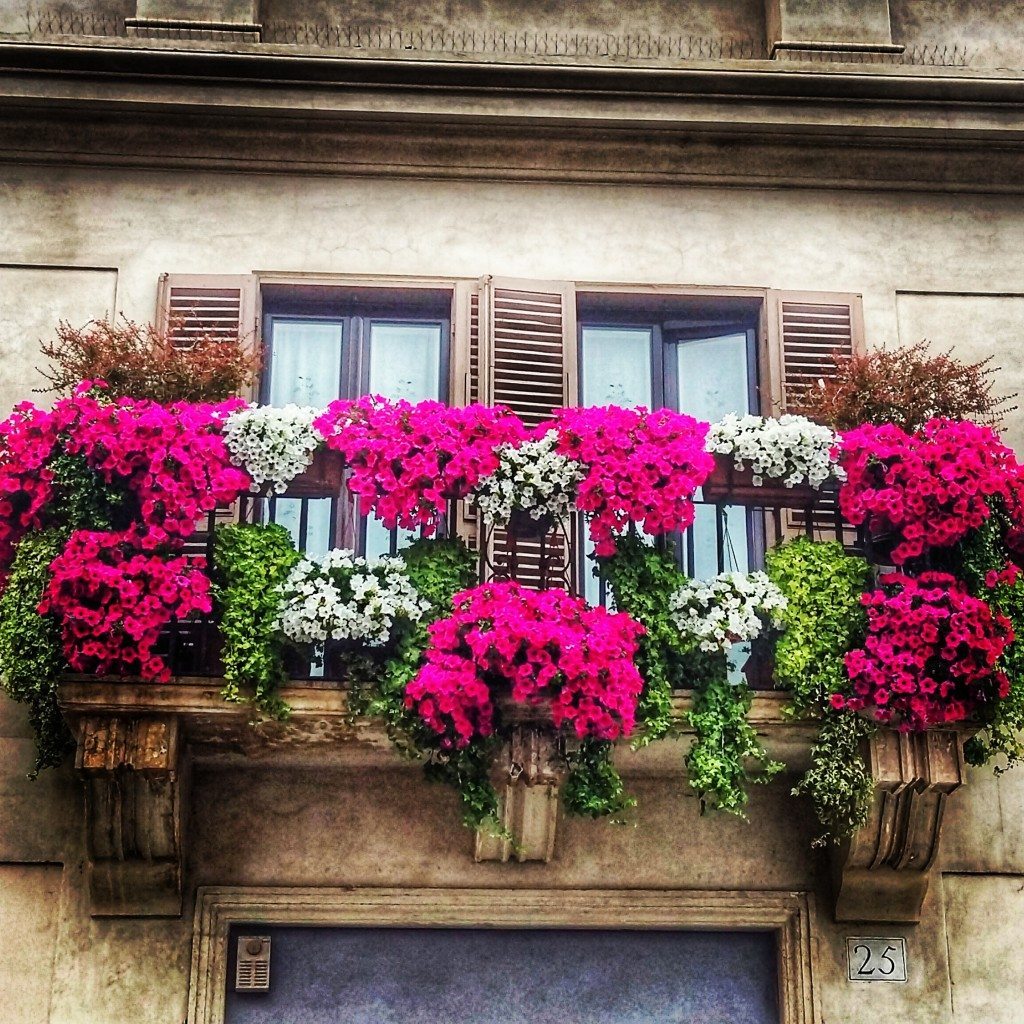 There is beauty everywhere in Rome - even in the flowery window baskets