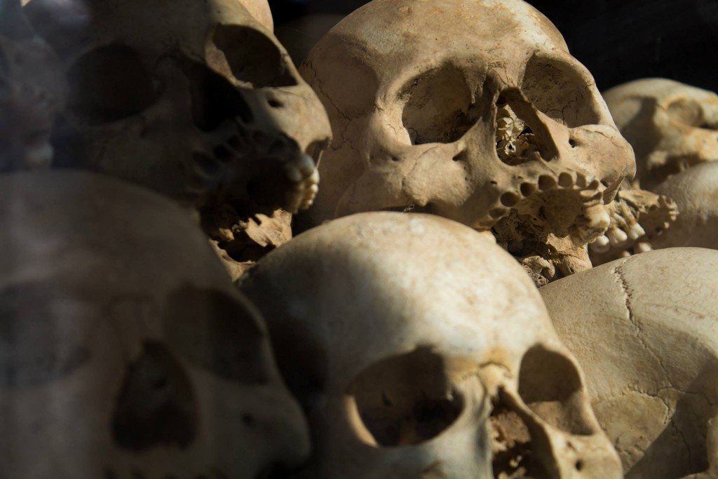 Skulls from the Killing Fields