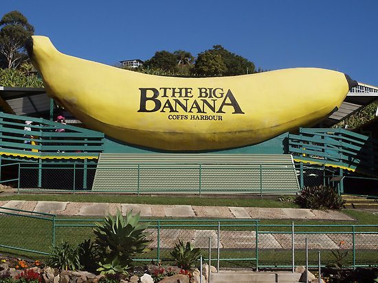 Part of an East Coast Australia Road Trip is spotting the 'Big Things'like this Big Banana near Coffs Harbour