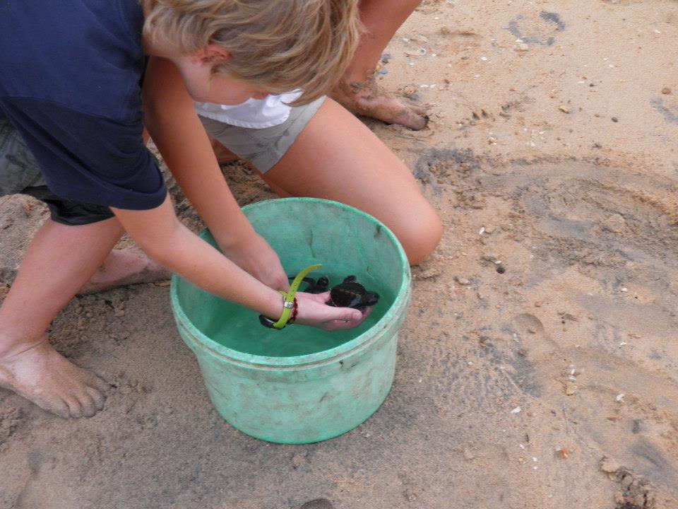 Voluntourism in Sri Lanka 