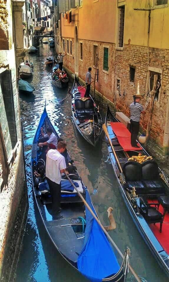 gondola traffic jam in Venice