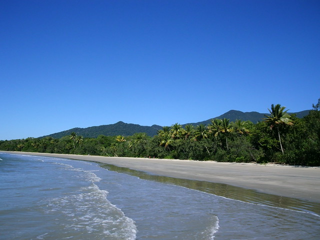Cape Tribulation