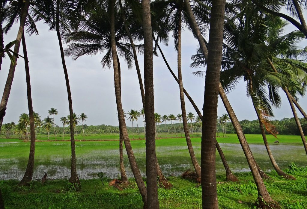 panaji tourist points