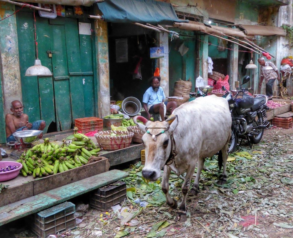 Storytrails Baazar trail chennai city tour