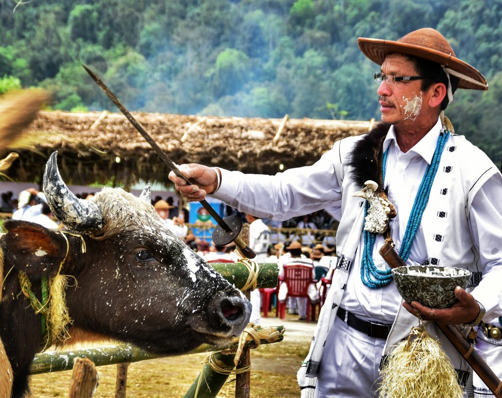 Blessing the mithun before sacrafice at the Mopin festival