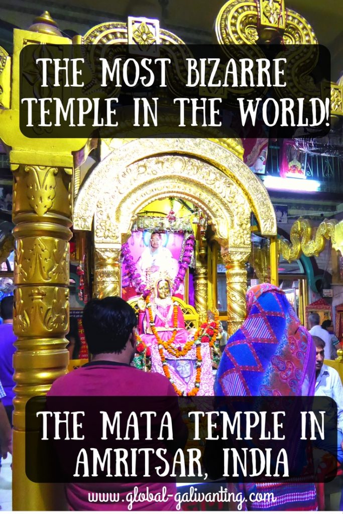 The Mata Lal Devi Temple in Amritsar- Probably the Craziest Temple in the World!