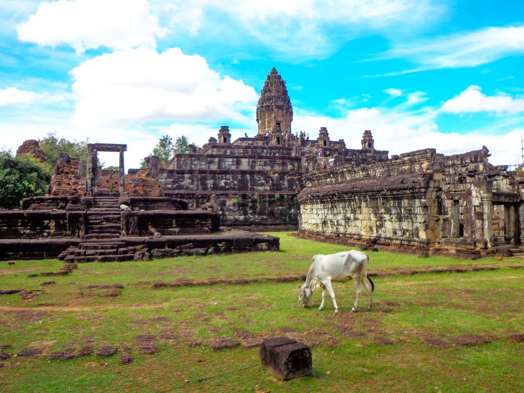 cow temple angkor cambodia 