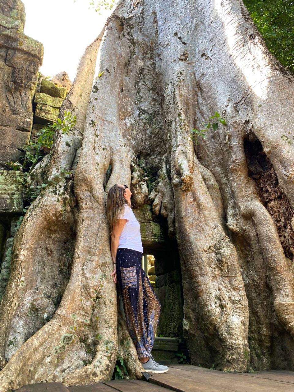 me at ta prohm temple looking up OP