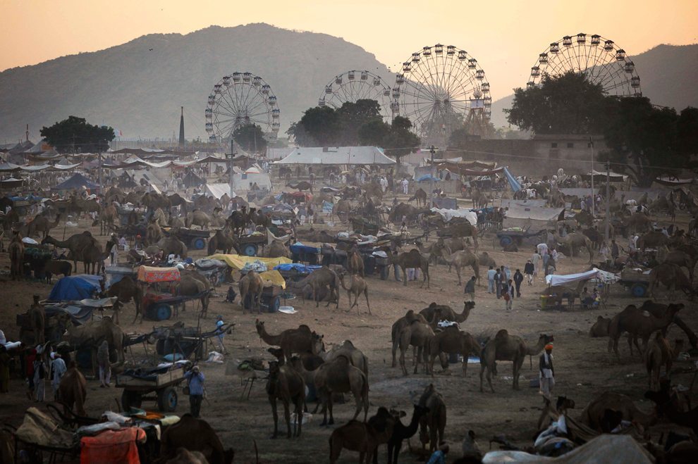 The carnival like atmosphere at Pushkar Camel Fair