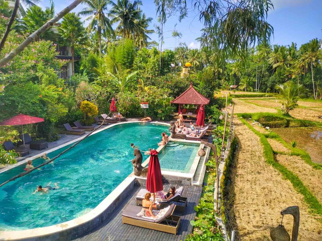 resort pool overlooking rice paddies in ubud bali