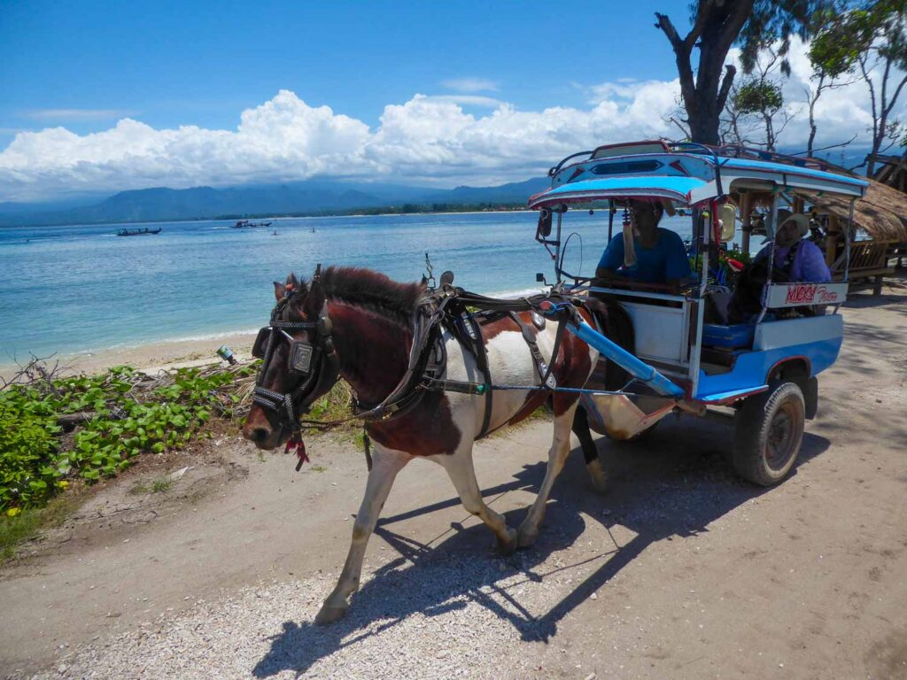 horse cart in the gili islands indonesia
