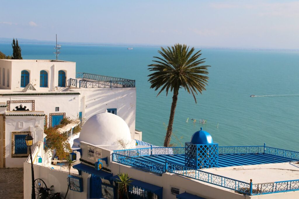 cartage tunisia OP