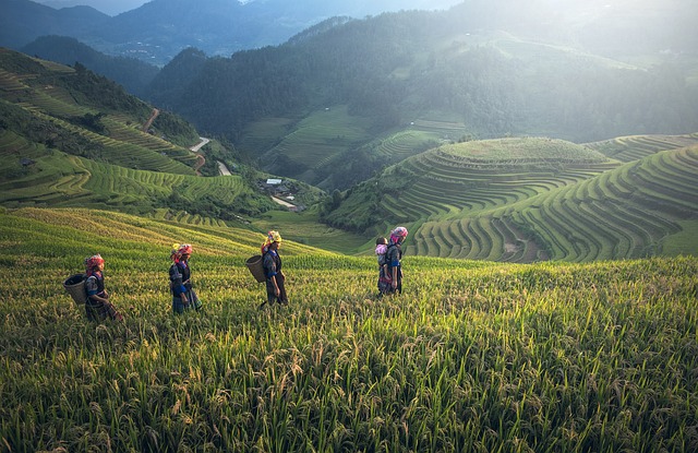 backpacking trip in thailand