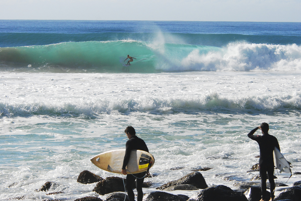 sydney backpacker tours