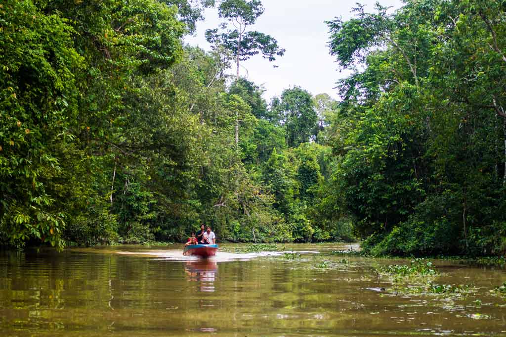 Kinabatangan-river-safari-borneo-malaysia-OP