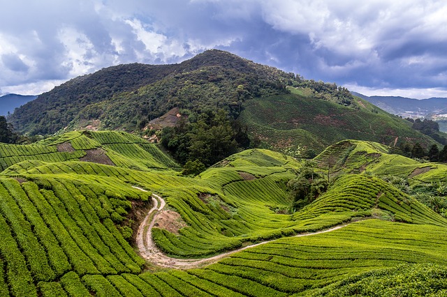 backpacking trip malaysia