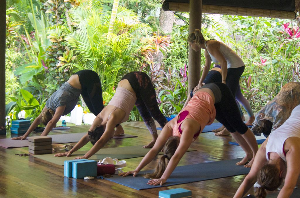 Yoga Teacher Training In Bali