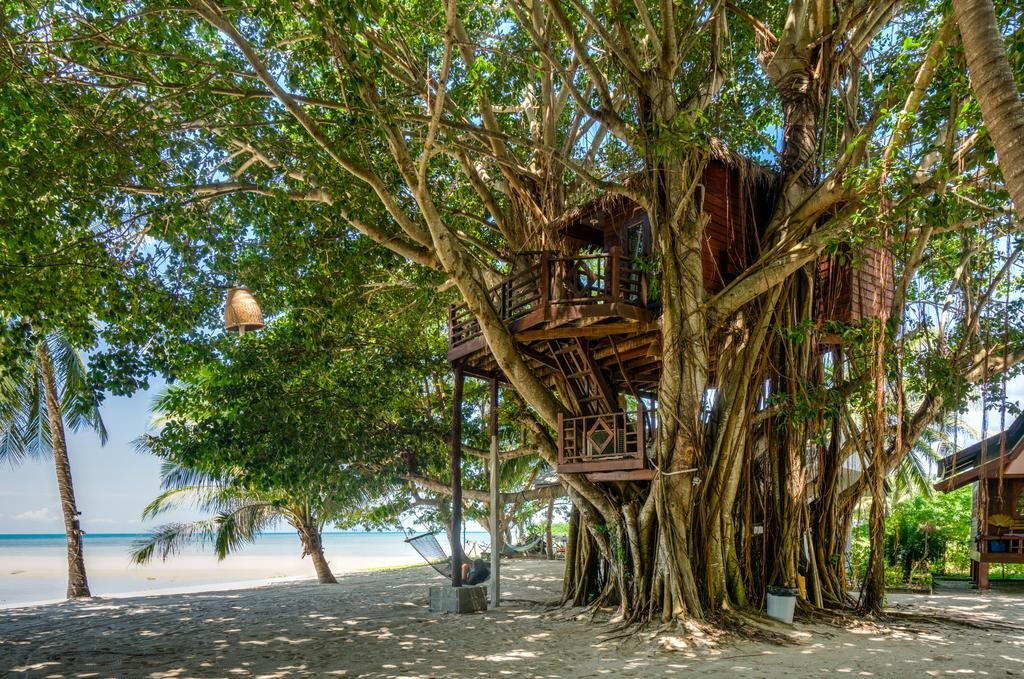 Good Time Backpackers