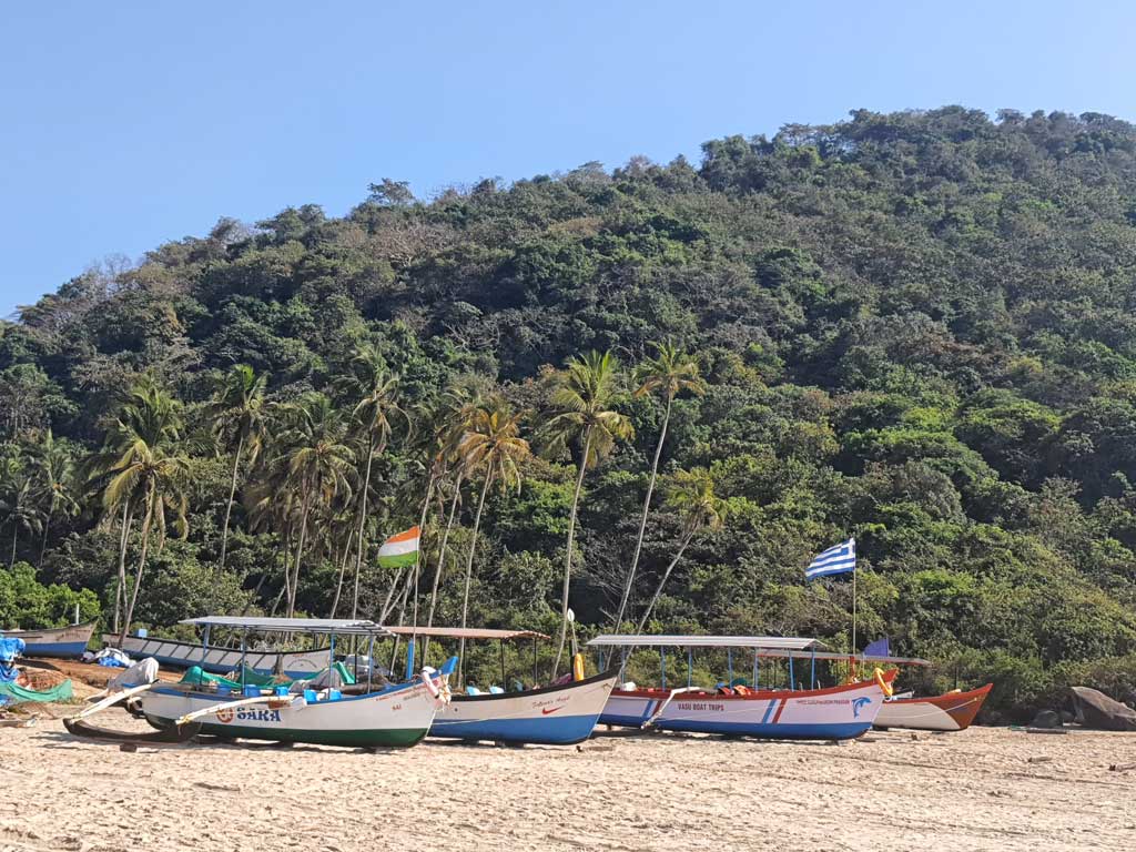 agonda beach boats and nature