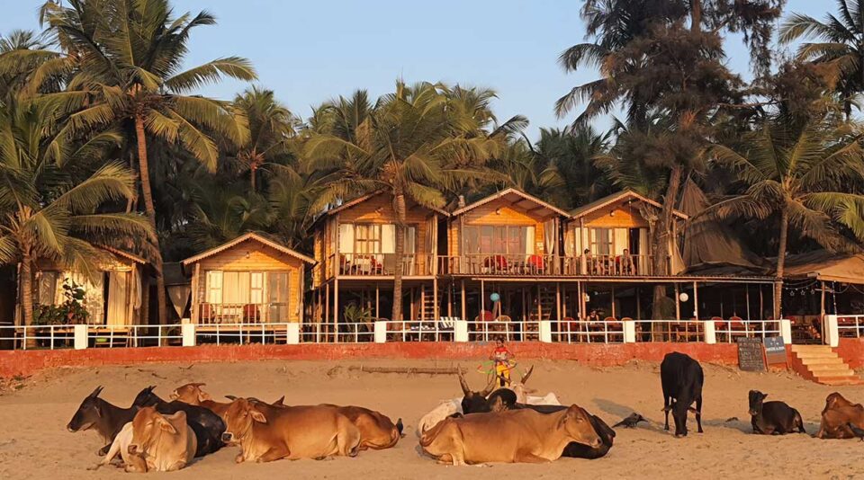 best-beach-huts-in-agonda-goa