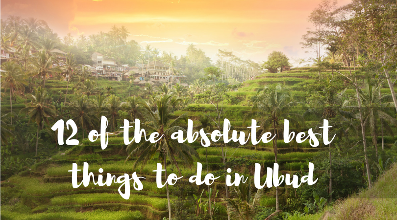 12 of the absolute best things to do in Ubud