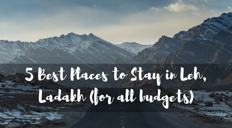 5 Best Places to Stay in Leh, Ladakh (for all budgets)